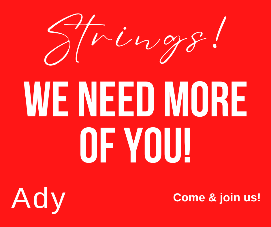 strings-we-need-more-of-you-ady-ensemble